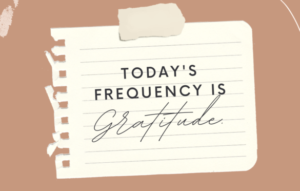 Gratitude is the Highest Frequency.